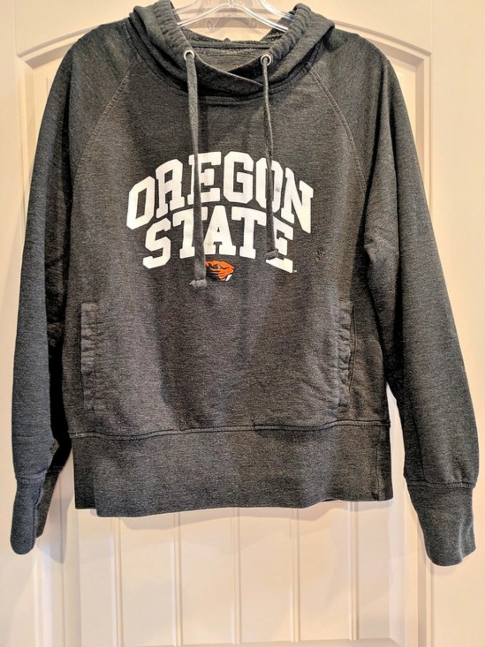 Oregon State Graphic Hoodie in Gray